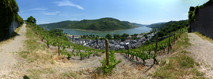 FZ017437-59 View over Bacharach.jpg